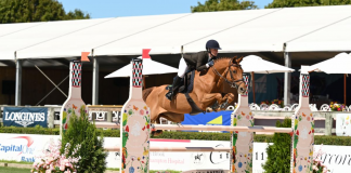 Amanda Derbyshire Slices and Dices to Win $37,000 Wölffer Estate CSI2* Grand Prix Qualifier at the Hampton Classic