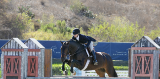 Halie Robinson and Kingston Reign in the $10,000 Blenheim EquiSports Young Hunter Championship