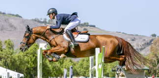 Trent McGee and Boucherom Return to the Winner’s Circle in $25,000 Blenheim Fall Tournament Grand Prix