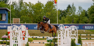 Meet the 2022 USHJA Young Jumper Champions
