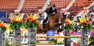 Ansgar Holtgers, Jr. Gets the Gold in Neue Schule/USEF Junior Jumper Individual National Championship
