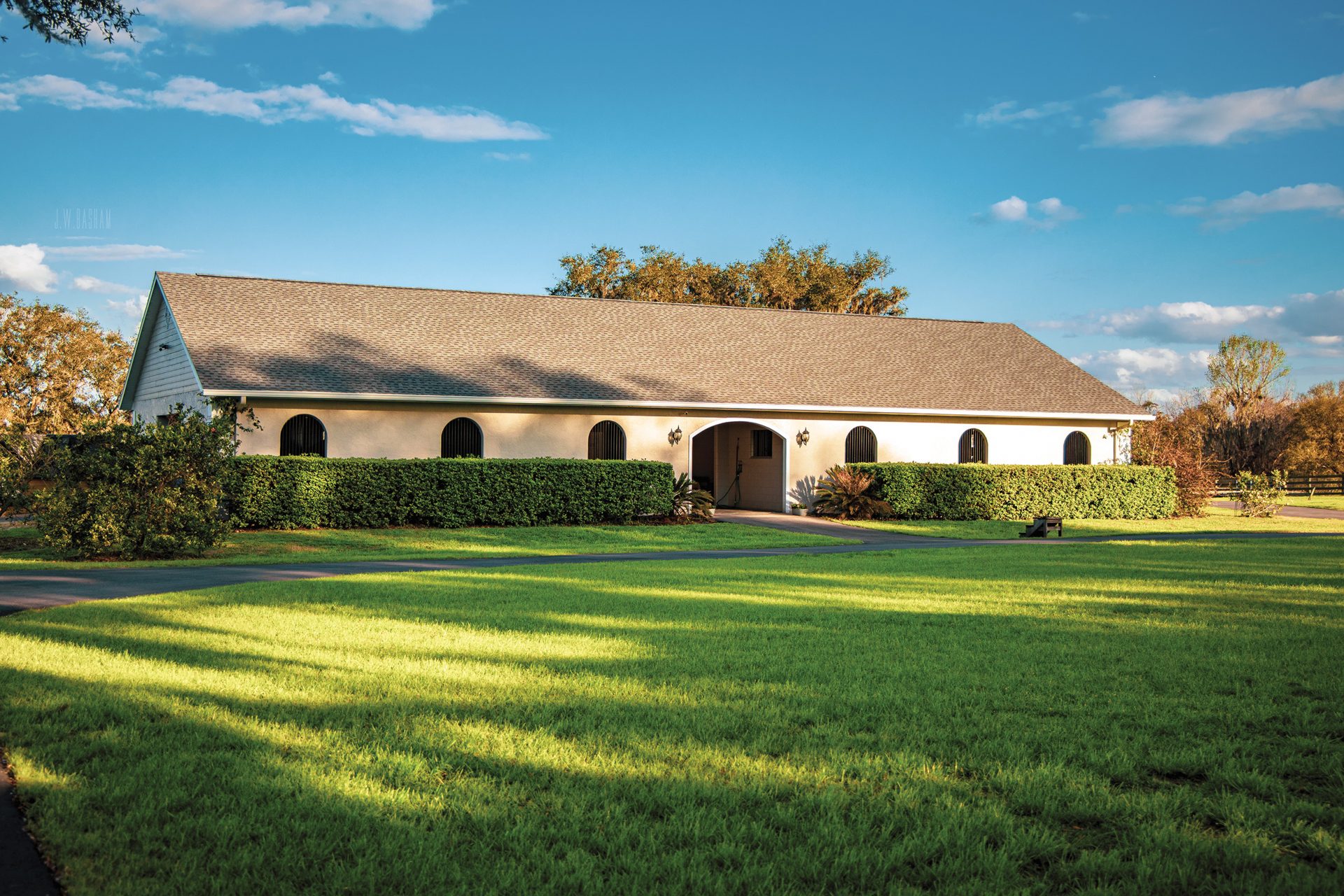 Shamrock Show Stables Cultivating a ConfidenceBuilding Environment