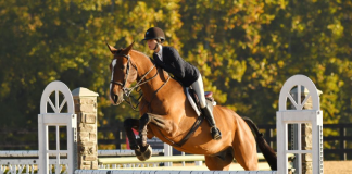 Equestrians Rise to the Occasion at 2022 WIHS Regional Horse Show & USHJA Zone 3 Championship