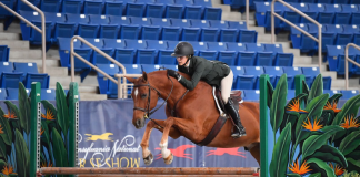 Laurie Barna Bests Competition to Emerge as Grand Champion Adult Amateur Hunter at PNHS