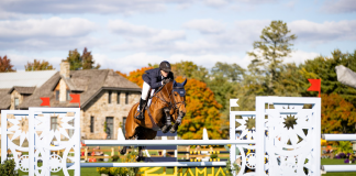 Ward Finds New Winning Partner in CSI3* Grand Prix of Greenwich