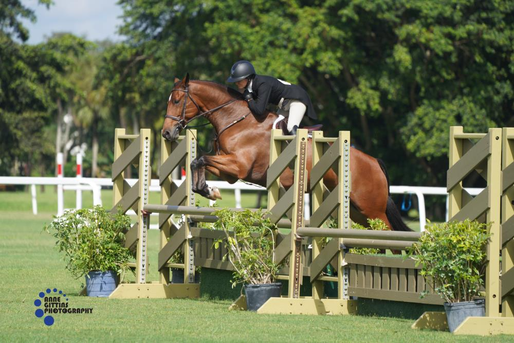 Penny Lombardo and Party Started Celebrate Victory in $2,500 USHJA National Hunter Derby Presented by Pilat...