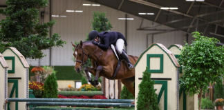 Provost, Goldberg Top USHJA National Hunter Derby Events at WEC – Wilmington