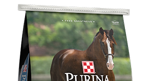 Purina® RepleniMash™: Much More Than Mash