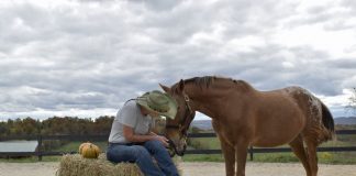 Back in the Saddle: The Things I Took for Granted