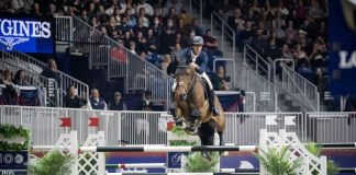 Nicholas Dello Joio Makes Winning Royal Horse Show Debut in CSI5*-W Big Ben Challenge