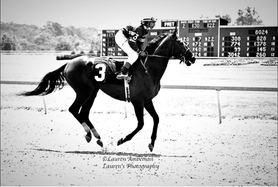 Terry West Inducted into Maryland Horse Show Association Hall of Fame