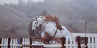 Dianne DeFranceaux Grod: “I Just Like All Things Horse” – Part I
