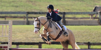 Neveah Barraza: From First Ride to USEF Pony Finals in Three Years Neveah Barraza