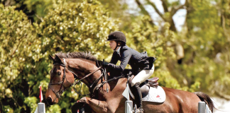 Get to Know the Equine Mastery Education System