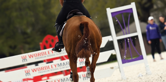 Wordley Martin: How to Build the Perfect Arena for Your Horses and Riders