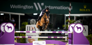 Adrienne Sternlicht and Bennys Legacy Land $216,000 Holiday & Horses Grand Prix CSI4*