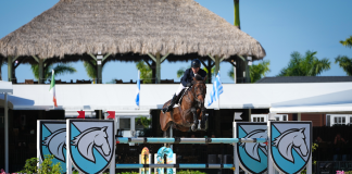 Celso Ariani and Janari Ter Dolen Win ProElite National Grand Prix at ESP New Year’s
