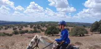 What if I’d Missed the Horses?