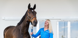 UF Veterinary Hospital at World Equestrian Center – Ocala Available For All Your Horse’s Needs