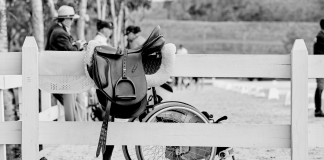 Para Equestrian on the Paralympic Program for Los Angeles 2028