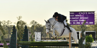 ‘Easy’ Win for Geitner in WEC – Ocala 3’6″-3’9″ Hunter Derby at Winter Spectacular 3