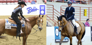 IEA Sets New Membership Record for 2022-2023 Season
