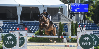 Prixview Course Comparison: Breaking Down Performance at WEF’s Annual FEI Opener