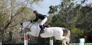 Sharn Wordley and Mick Jagger Are Best in $50,000 Voltaire Design Grand Prix at HITS Ocala