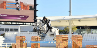 MTM Hachi and Tracy Fenney Fly to Welcome Prix Victory at Winter Spectacular 4