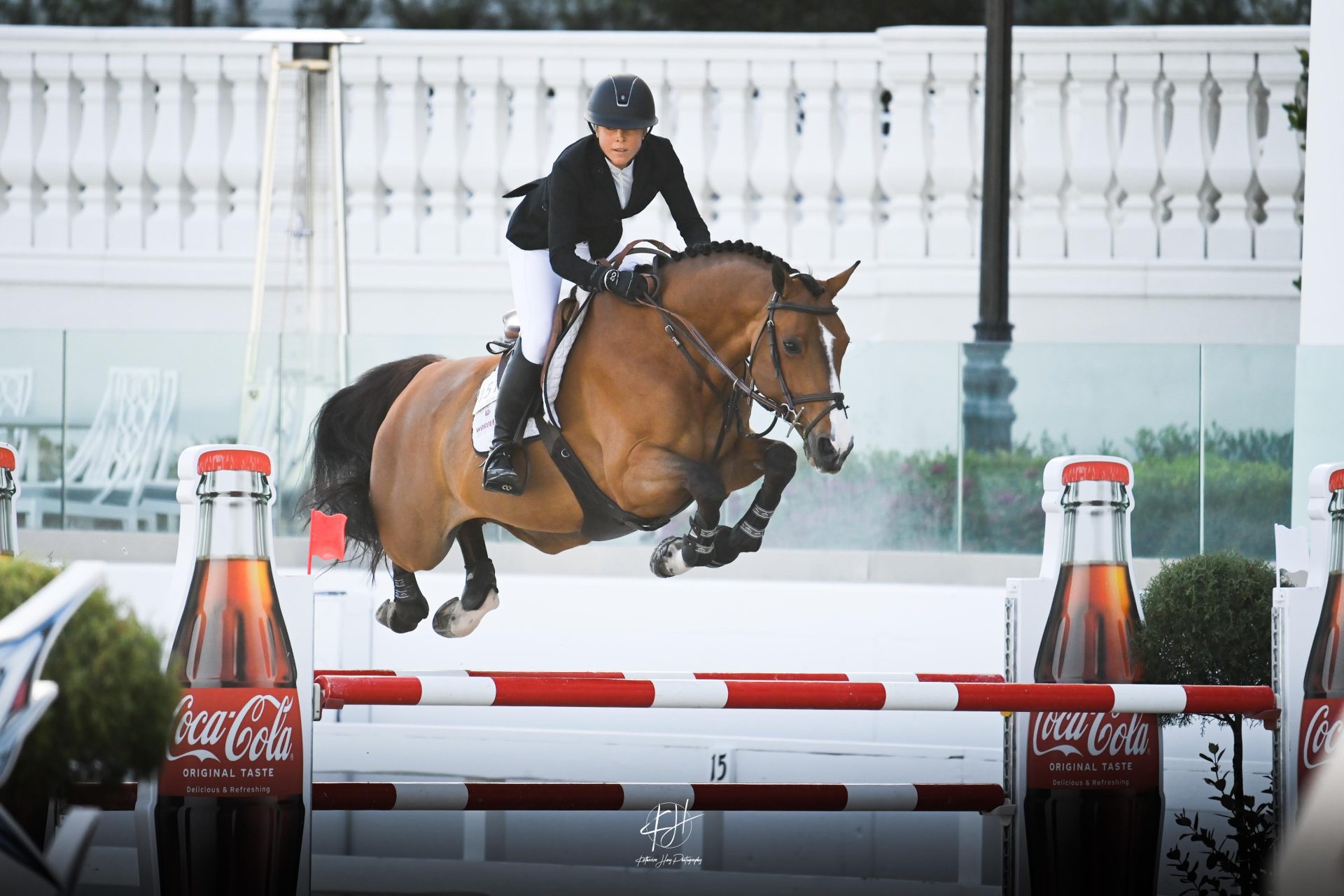 Balcomb Benefits from BoneKare for Top ShowJumping Mounts - The Plaid ...