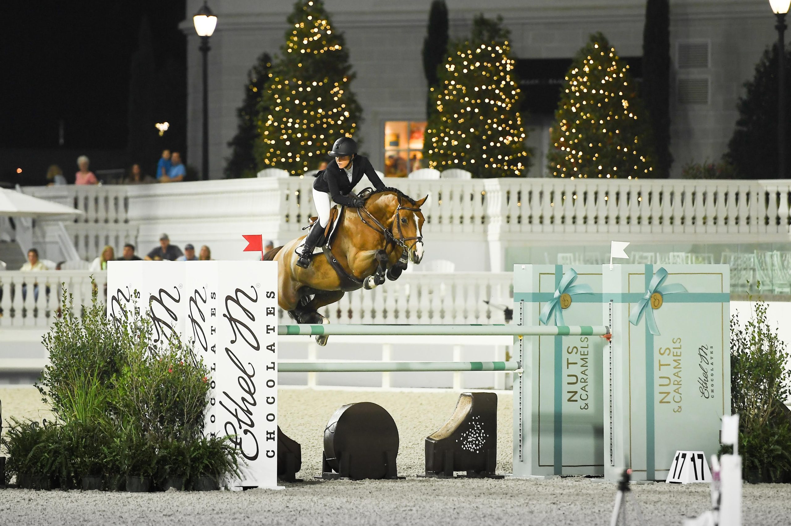 Balcomb Benefits from BoneKare for Top ShowJumping Mounts - The Plaid ...
