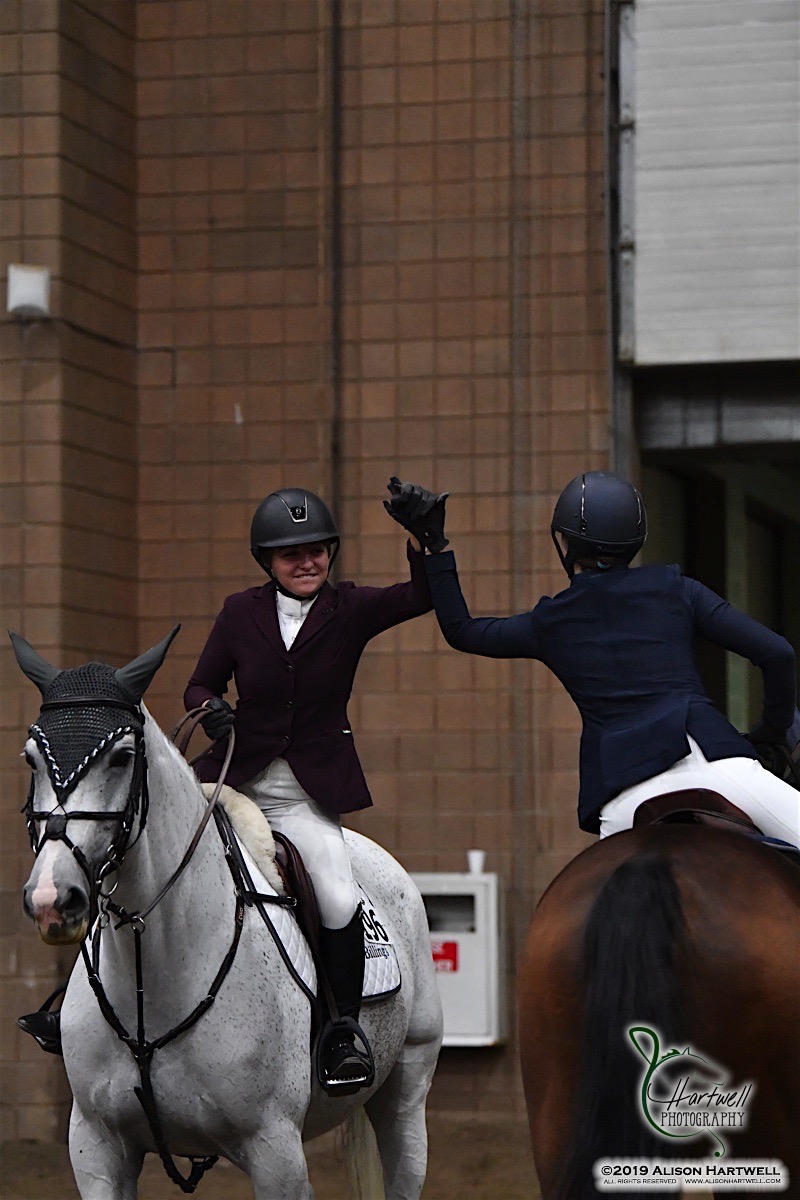 American Royal Hunter Jumper Show to Return in 2023 With New Spring Date The Plaid Horse Magazine