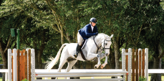 Good Habits for a Strong Show Season