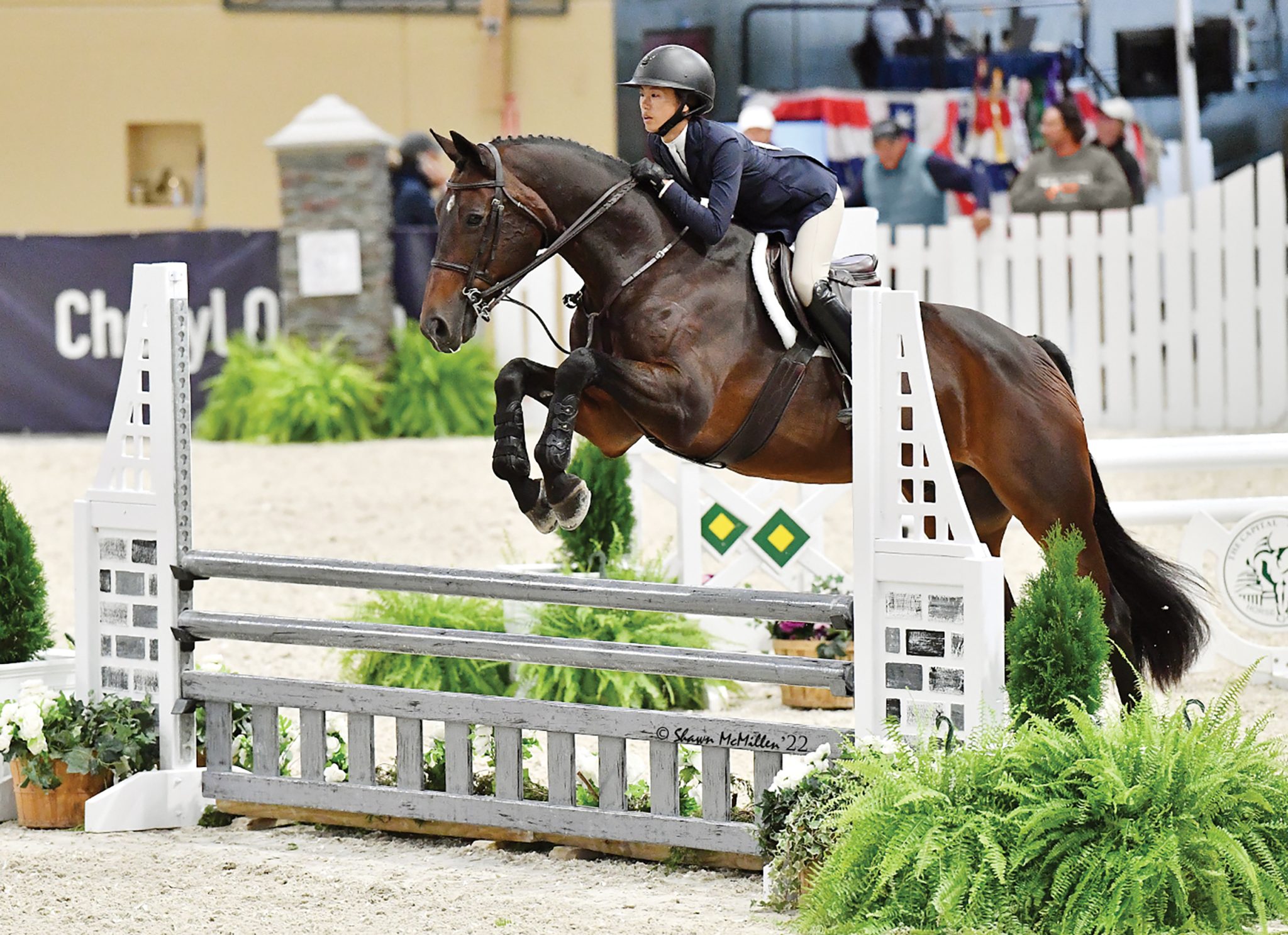 It Happens! Sara Roche, Rennie Dyball & Lily Muzzy The Plaid Horse