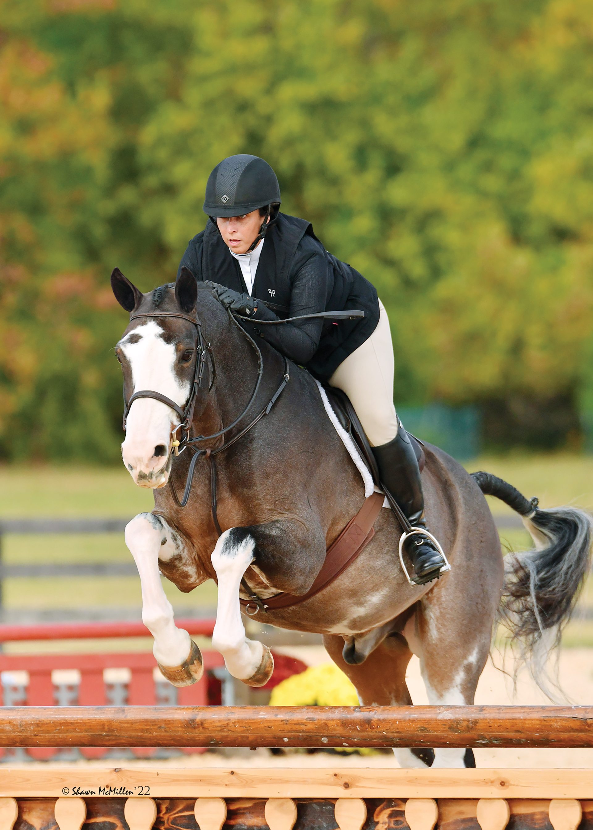 It Happens! Sara Roche, Rennie Dyball & Lily Muzzy The Plaid Horse