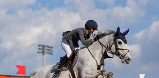 Oken and Saratoga Secure Win in CSI2* Grand Prix at WEF 7