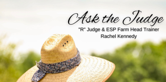 Ask the Judge: Rachel Kennedy