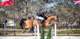 Daniel Bluman Wins CSI2* Grand Prix at Terranova Equestrian Center