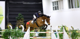 Izzy Beisel and Vegas H Steal the Show in $10,000 Welcome Stake at WEC Ohio Winter Classic 8