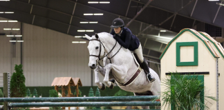 Jennifer Schwartz Dominates USHJA National Open 3′ Hunter Derby at Winter Classic 9