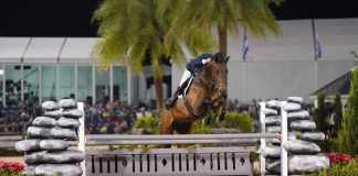 French Dazzles in $100,000 WCHR Peter Weatherill Palm Beach Hunter Spectacular