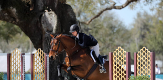 Julie Oliver and Montego’s Marvelous Rounds Garner Green 3’3” Hunter Championship at HITS Ocala