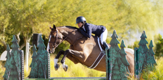 St. Somewhere Finds His Place in 3’6″ Green Hunters at Desert Circuit 4
