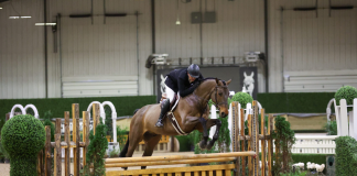 Kristjan Good Earns Back-to-Back Wins in $15,000 USHJA National Hunter Derby Open at WEC Ohio Winter Classic 8