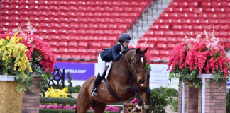 Connected Teens: A Competitive Teen Jumper Supports Emotional Healing for People with Memory Loss