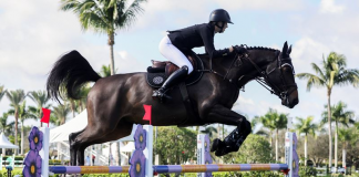 Dean and Dotcom d’Authuit Dazzle in Wellington Equestrian Realty CSI4* Speed