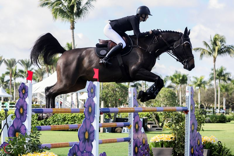 Dean and d’Authuit Dazzle in Wellington Equestrian Realty CSI4