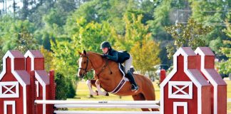 I Had My Heart Horse Too Early