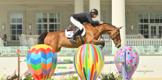 I Adermie R 4 Gives Vale Wings in CSI3* 1.45m Speed at Winter Spectacular 9