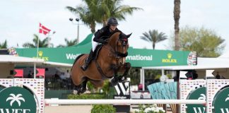 Young Jumper Talent Shines in Lövsta Future Challenge at WEF 10